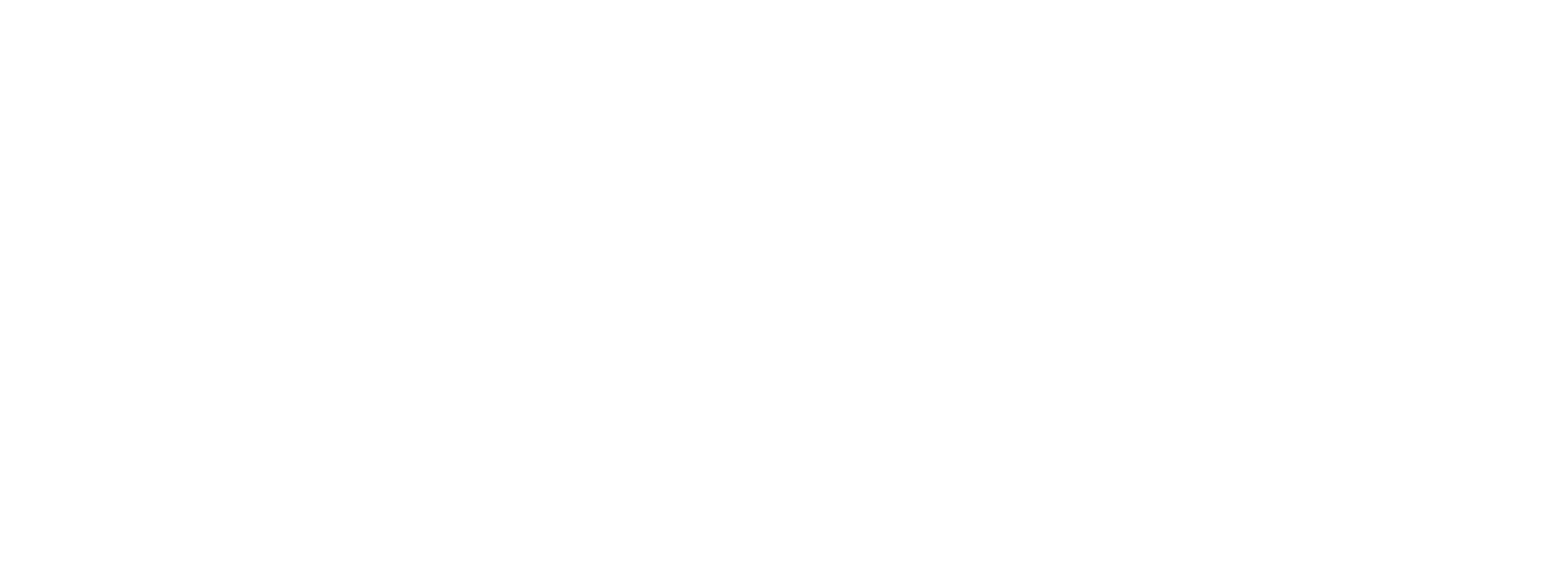 Lanier Learning Academy Logo in white